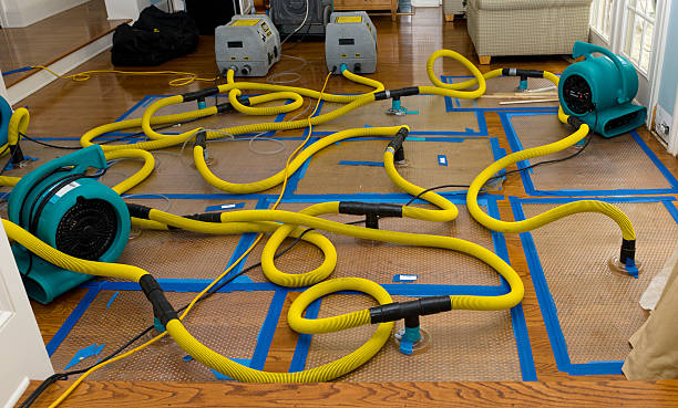 Professional Sewage Cleanup technician working in Marysville, OH